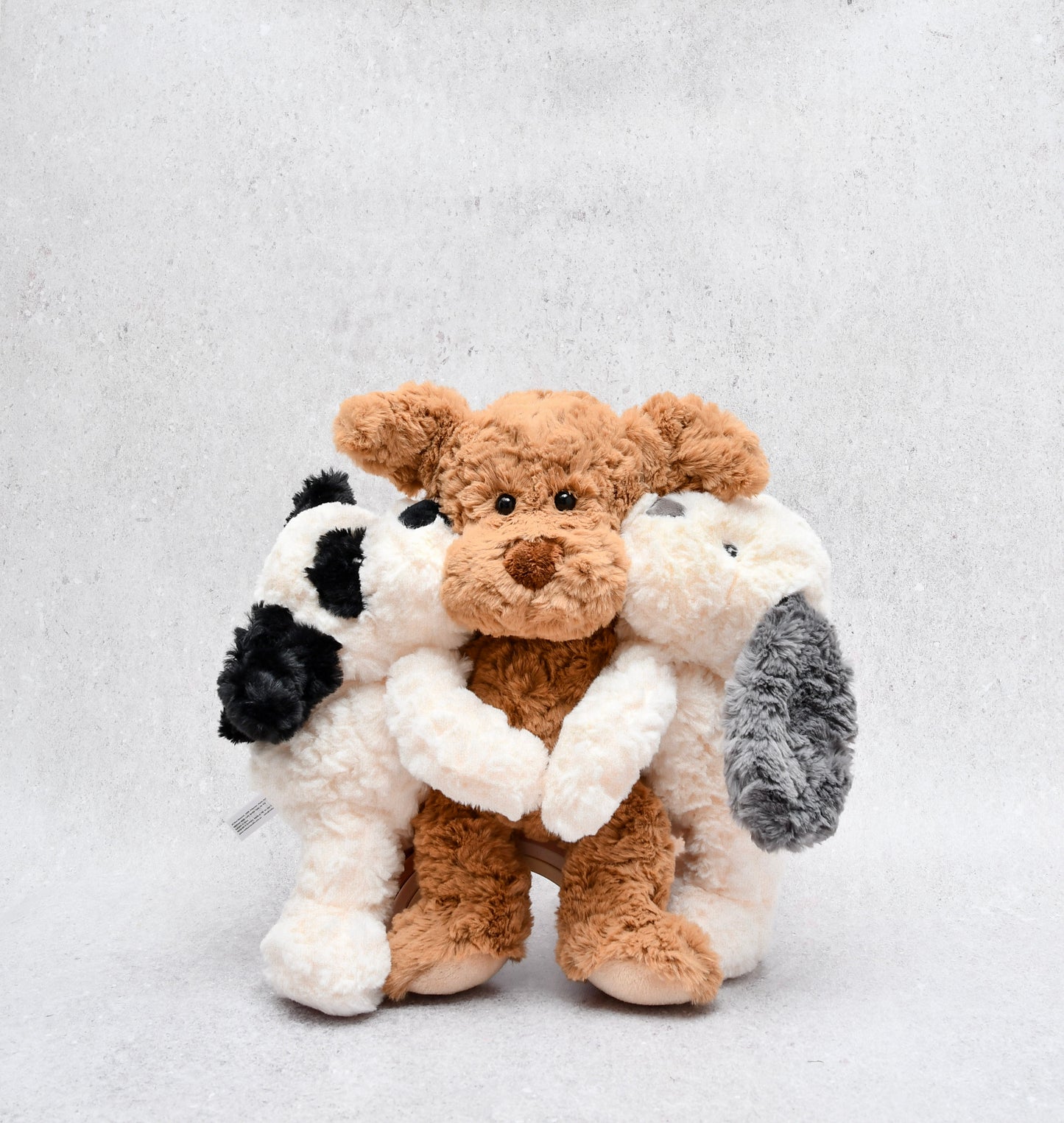 Petite Vous Harry the Dog Soft Toy