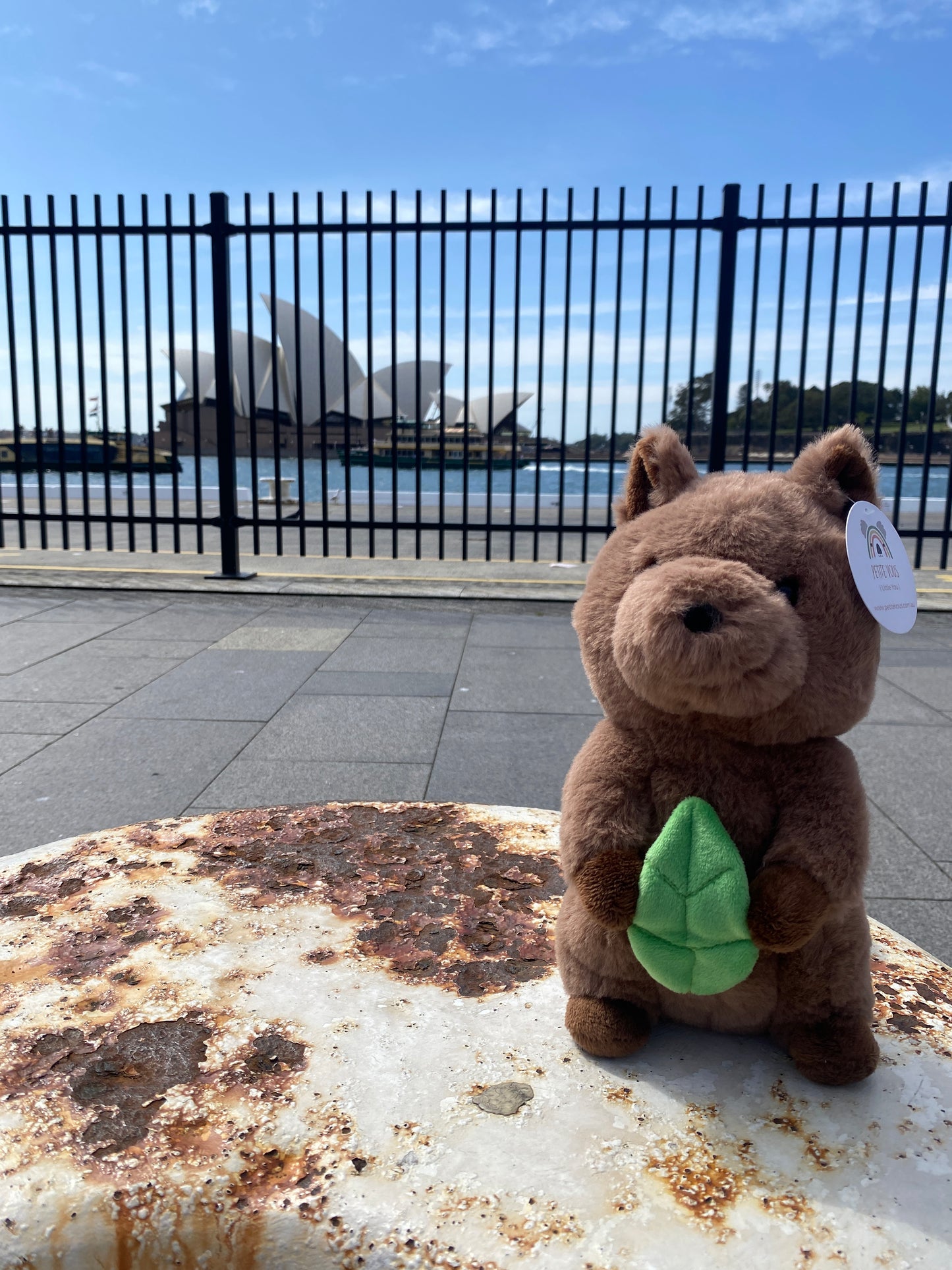 Petite Vous Banjo the Quokka Soft Toy