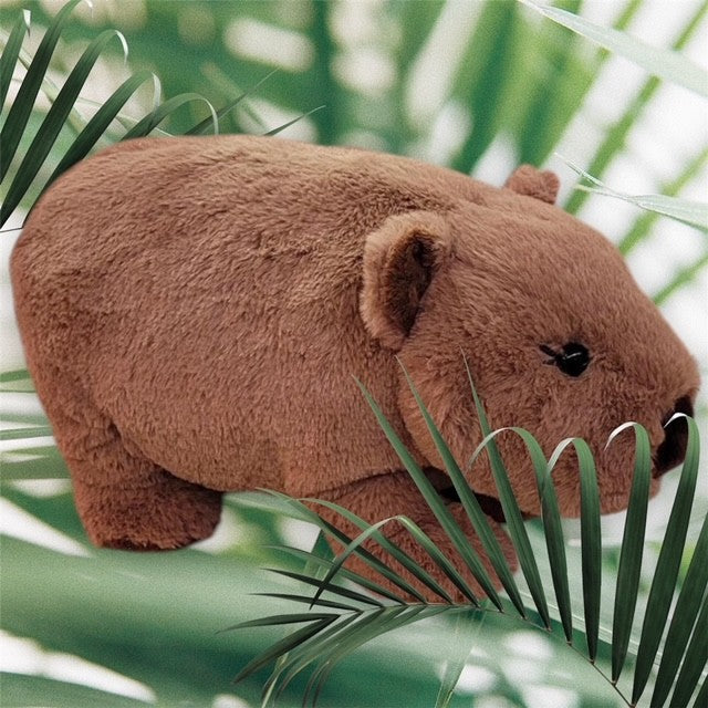 Petite Vous Walter the Wombat Soft Toy