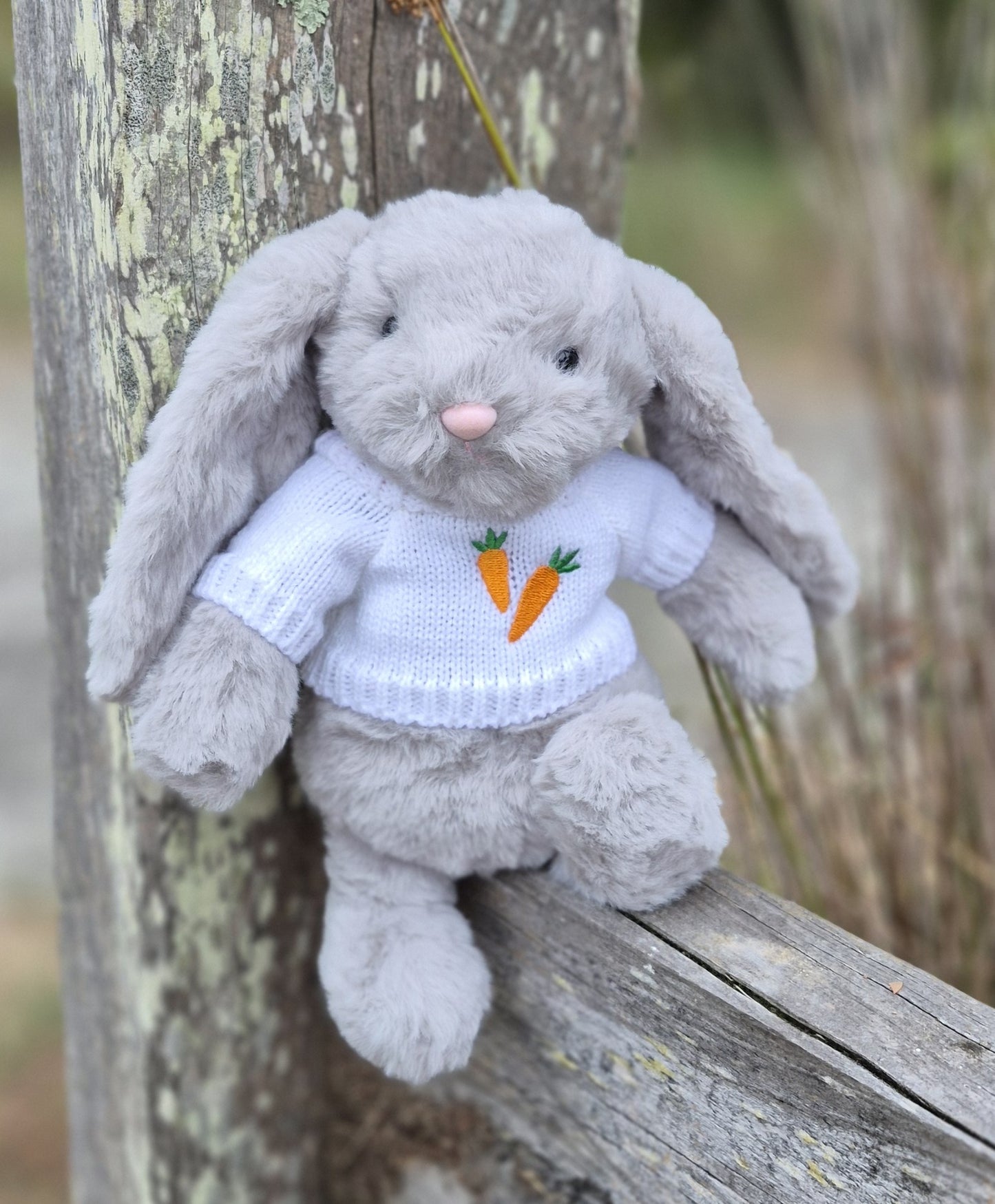 CARROT JUMPER - Petite Vous Ziggy the Bunny Soft Toy