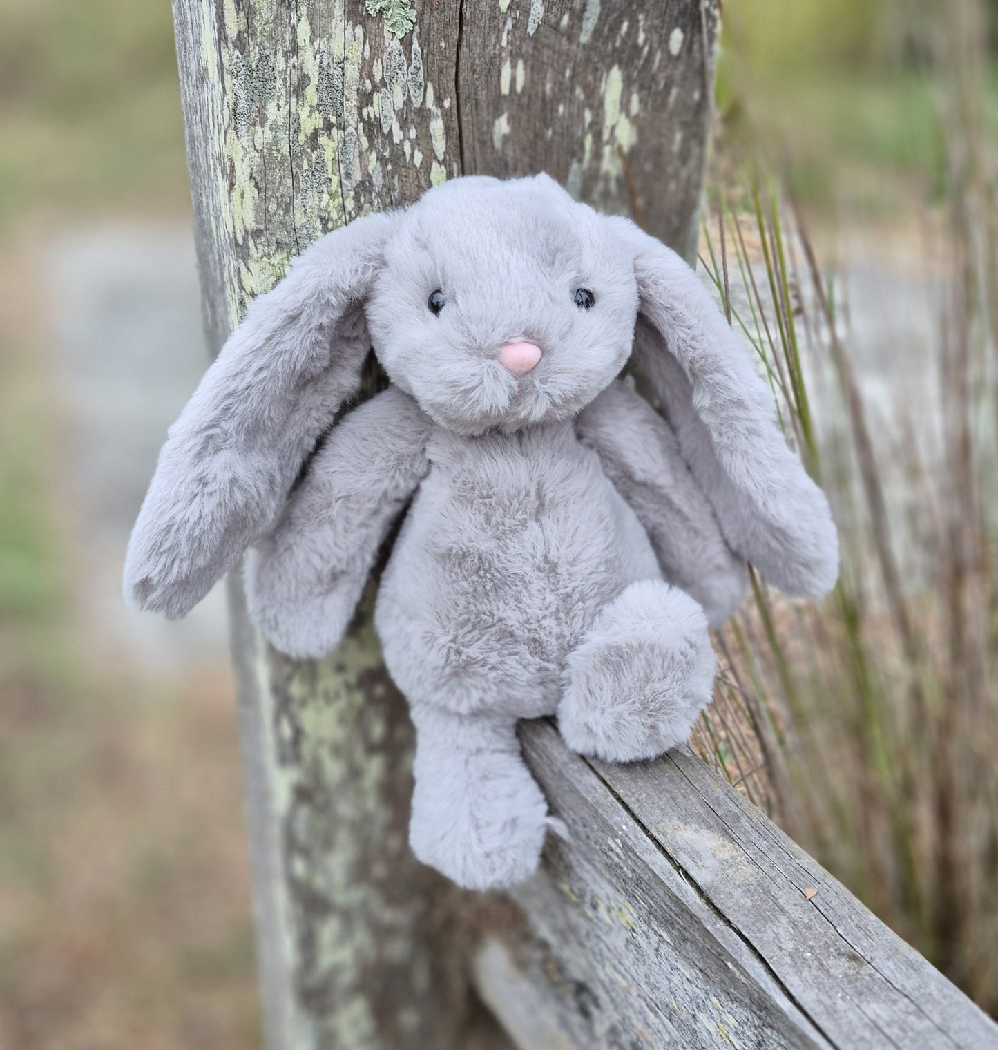NO JUMPER Petite Vous Ziggy the Bunny Soft Toy