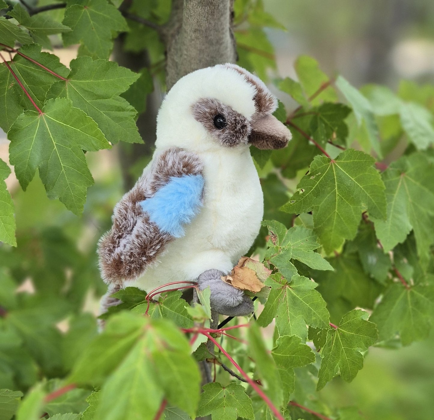 NEW Petite Vous Kookie the Kookaburra Soft Toy